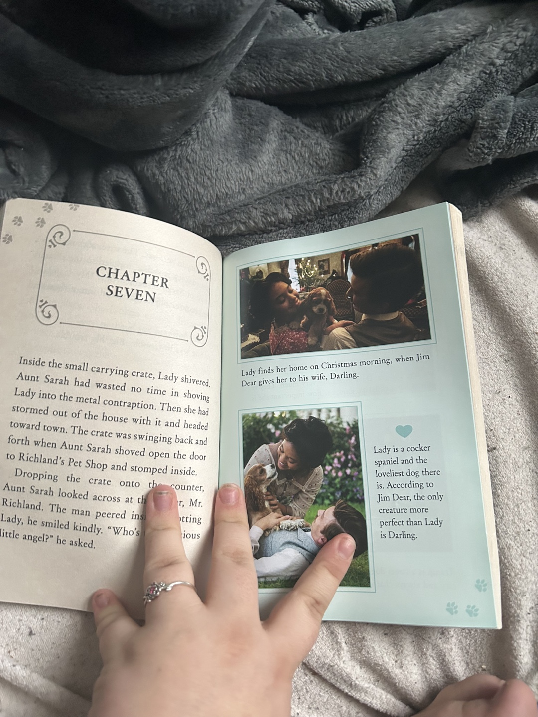 Lady and the Tramp Junior Novelization - photo 3