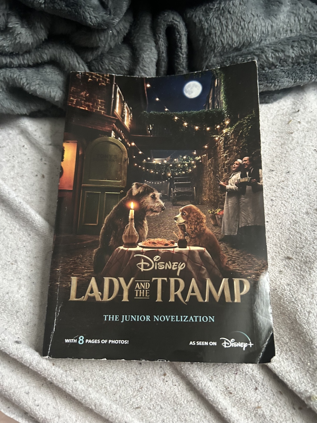 Lady and the Tramp Junior Novelization