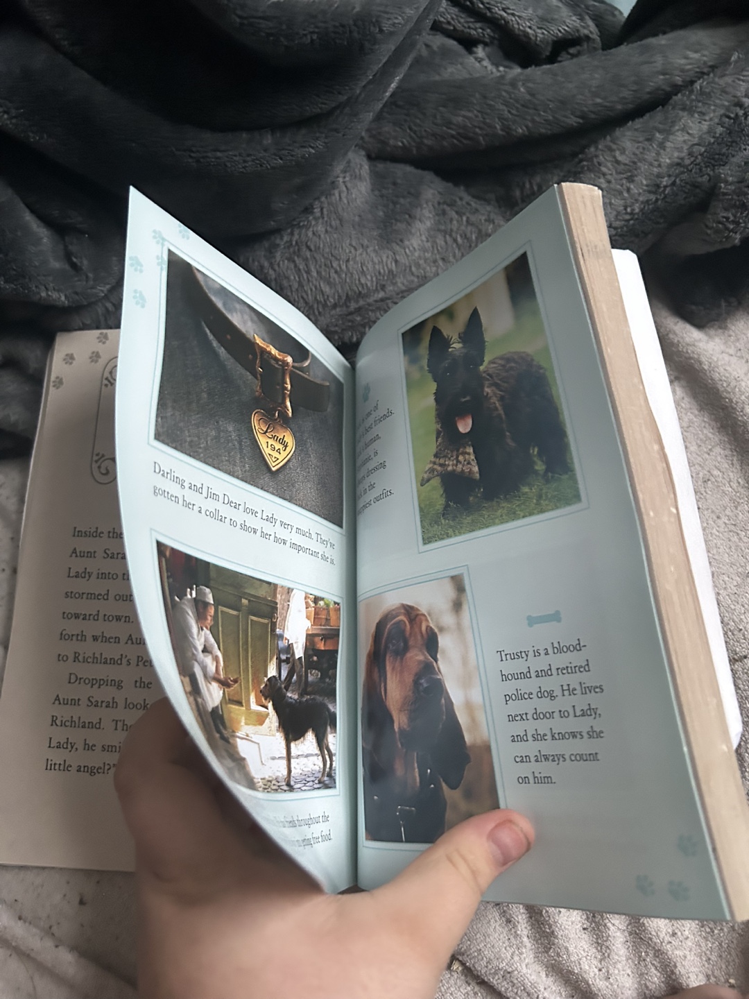 Lady and the Tramp Junior Novelization - photo 4