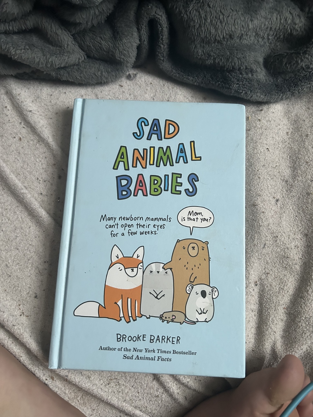 Sad Animal Babies Book - New!