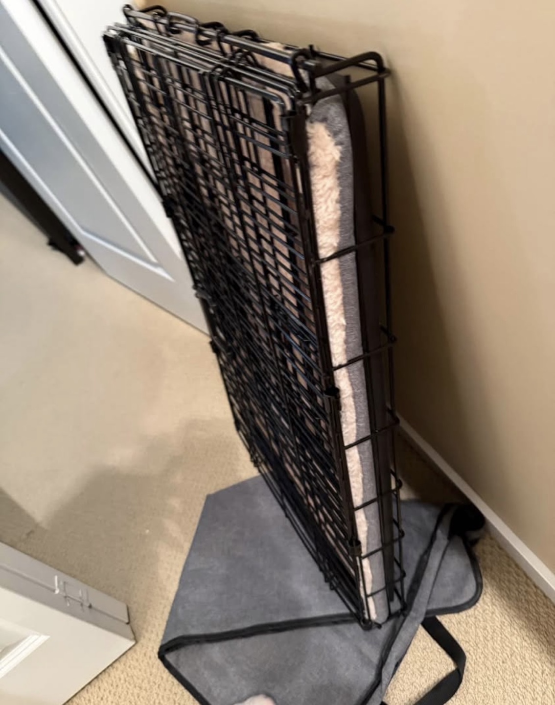 Portable Pet Crate with Pad - photo 2