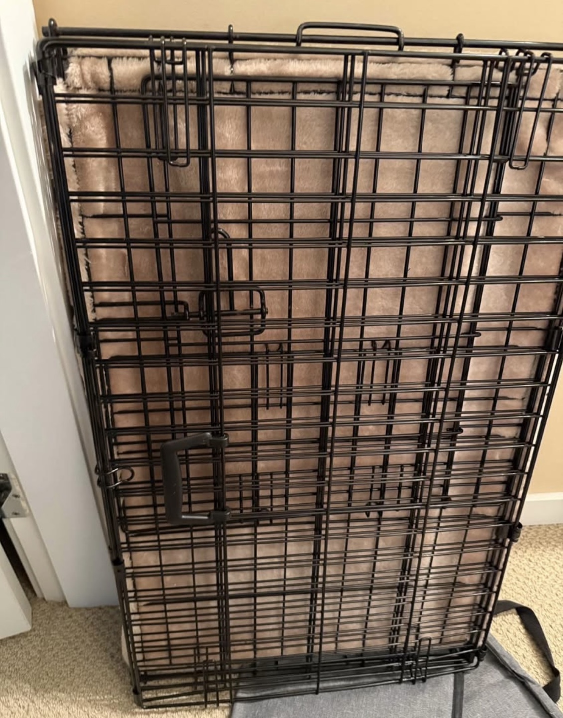 Portable Pet Crate with Pad