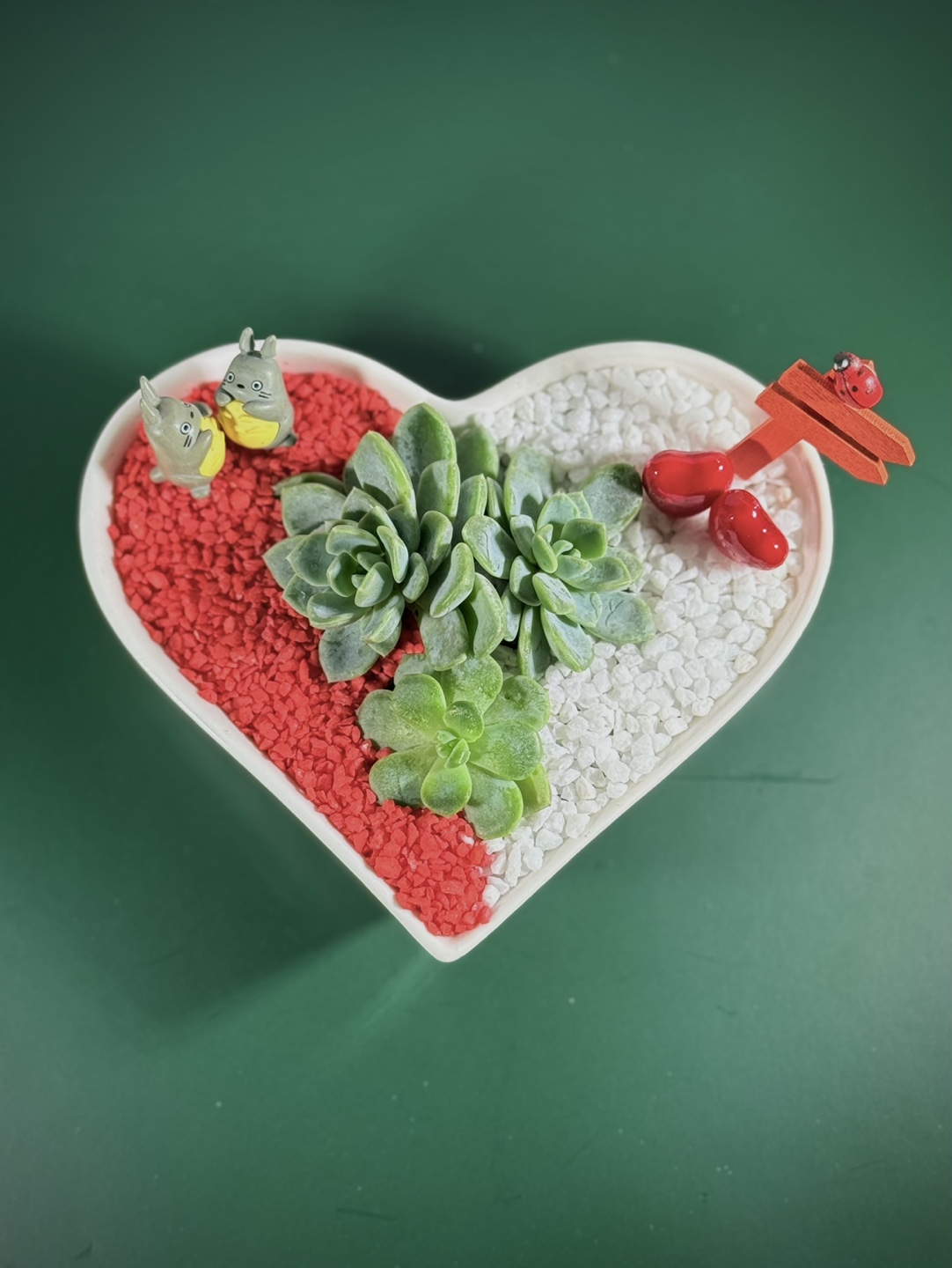 💚 Heart-Shaped Succulent – Perfect Valentine’s Day Gift!