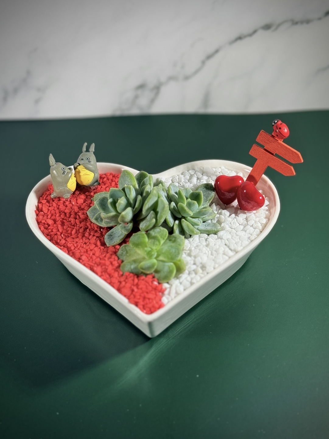 💚 Heart-Shaped Succulent – Perfect Valentine’s Day Gift! - photo 2