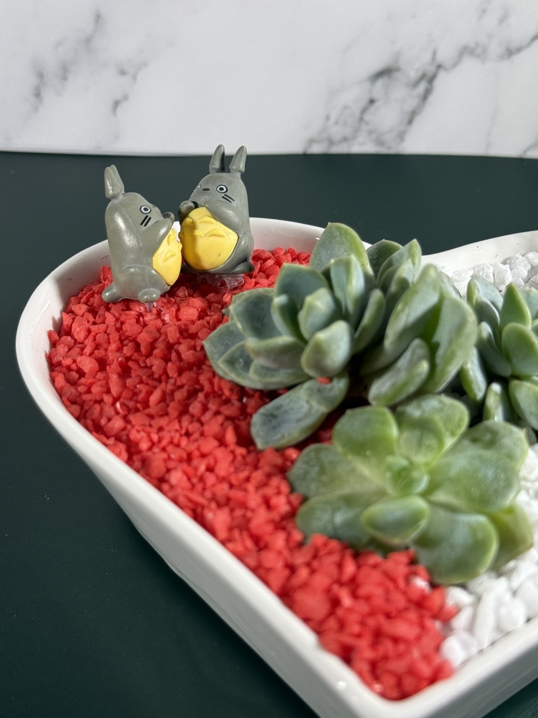 💚 Heart-Shaped Succulent – Perfect Valentine’s Day Gift! - photo 3