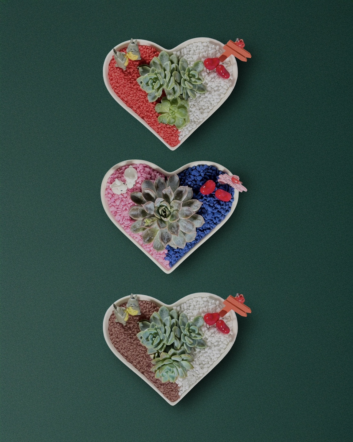 💚 Heart-Shaped Succulent – Perfect Valentine’s Day Gift! - photo 4