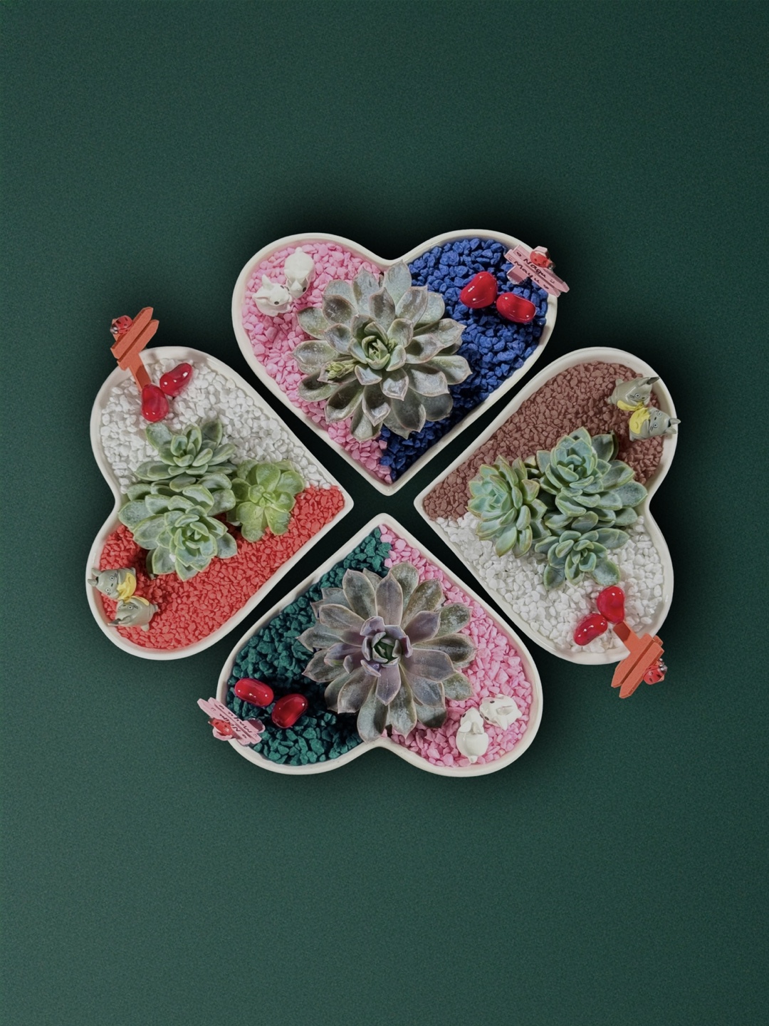 💚 Heart-Shaped Succulent – Perfect Valentine’s Day Gift! - photo 5