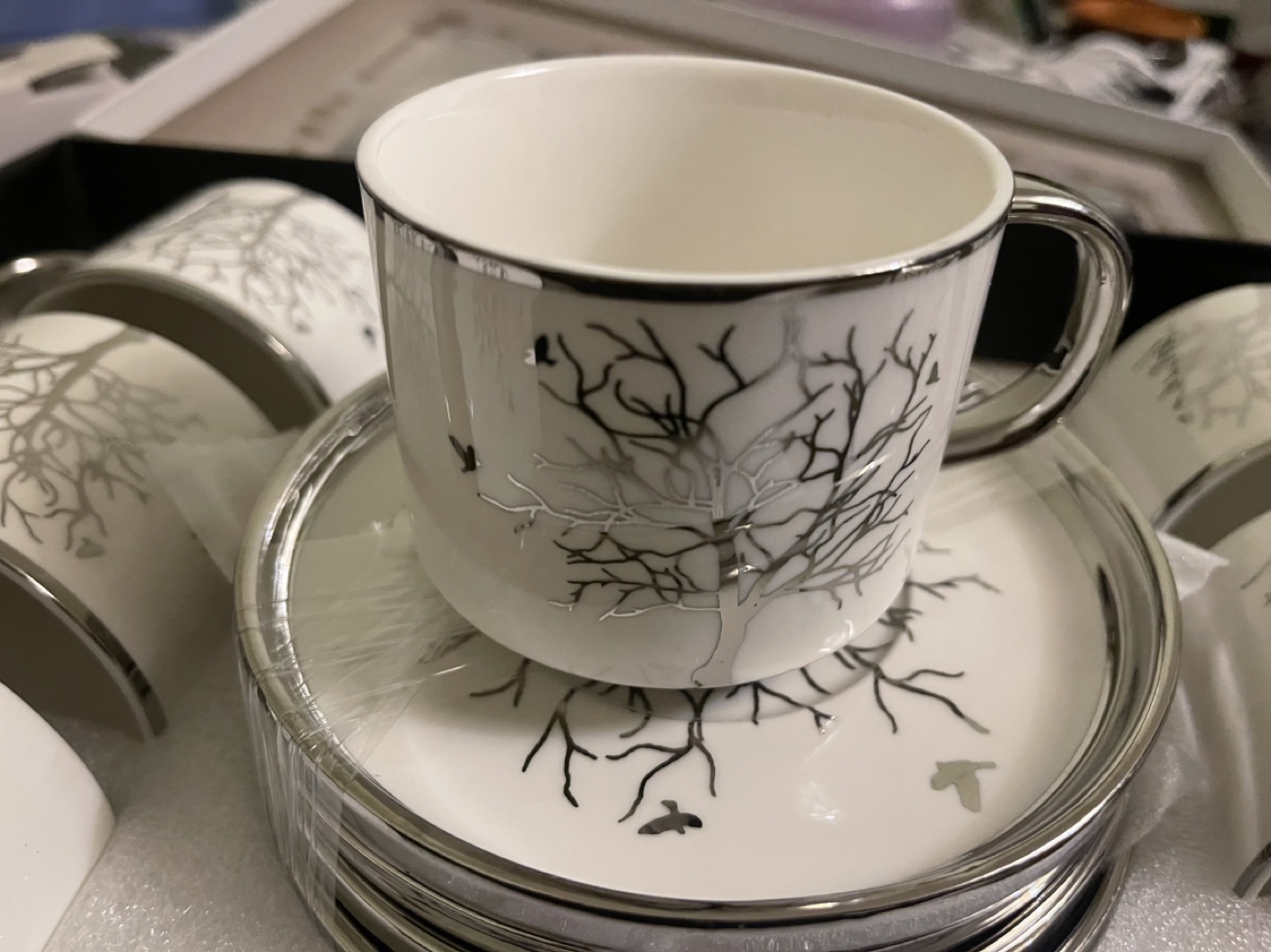 Trendmax 6-Piece Porcelain Coffee Cup Set with Silver Accents