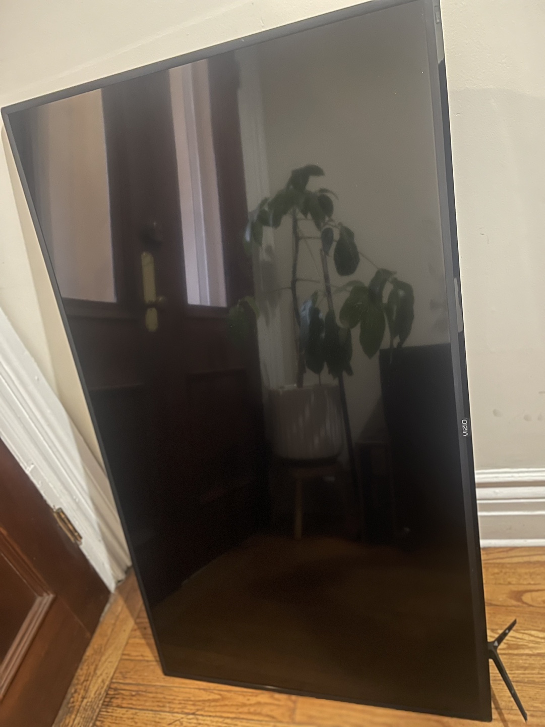 Vizion 50”