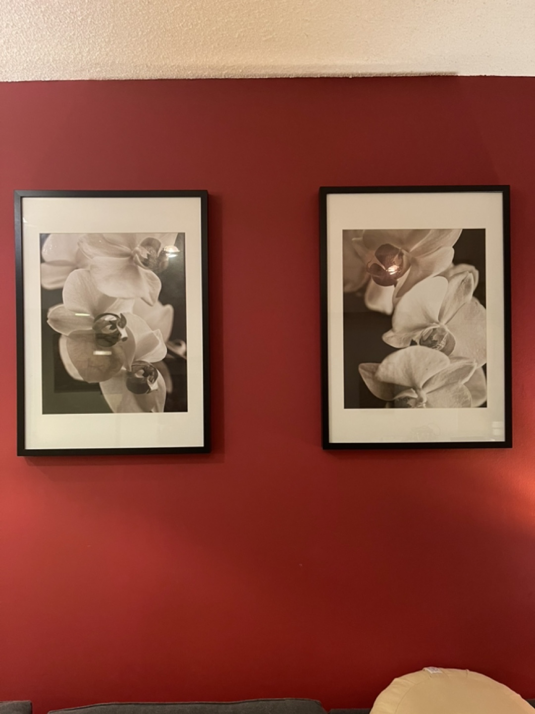 Pair of Framed Orchid Prints - IKEA Large Ribba Frames