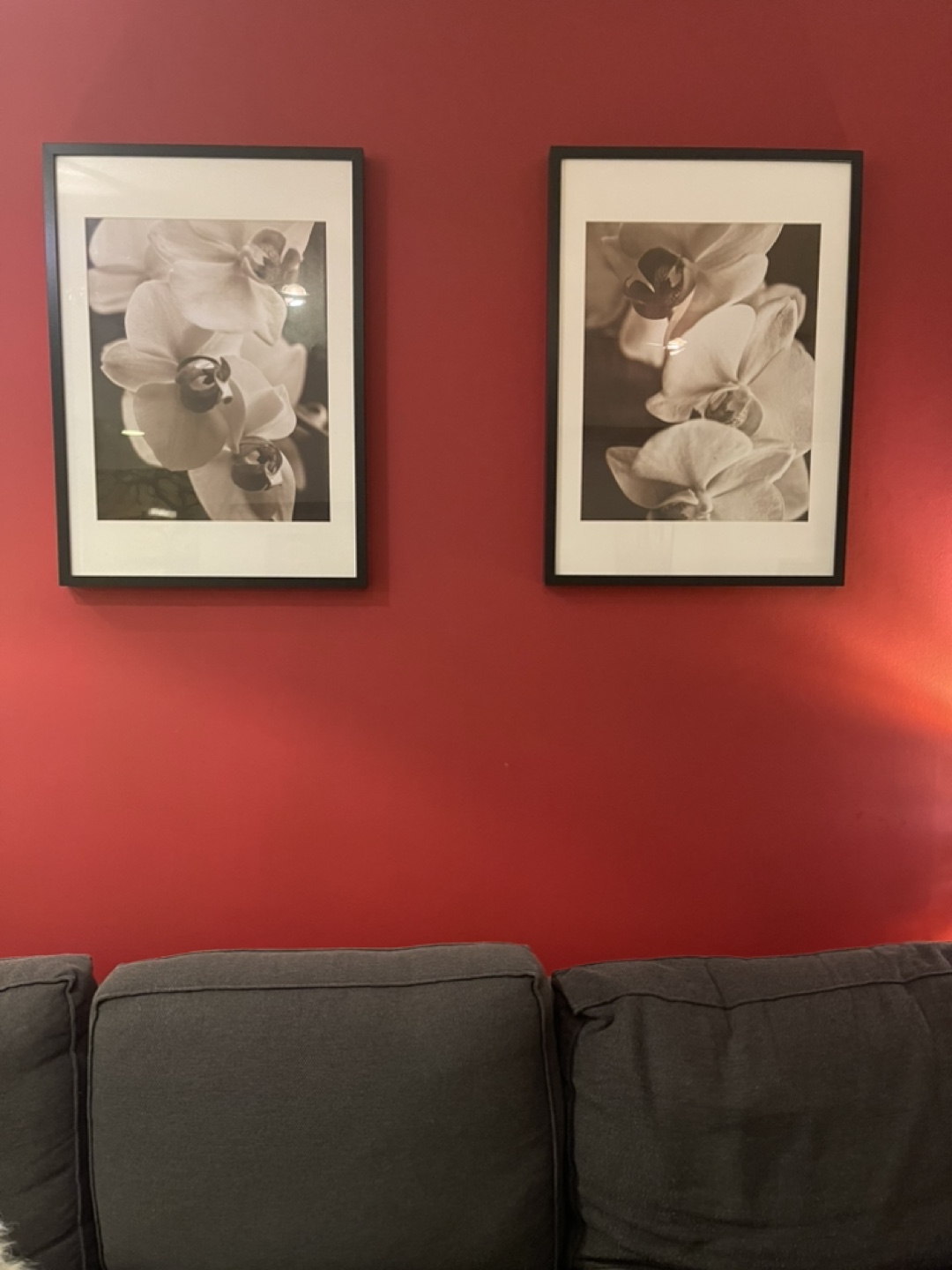Pair of Framed Orchid Prints - IKEA Large Ribba Frames - photo 4