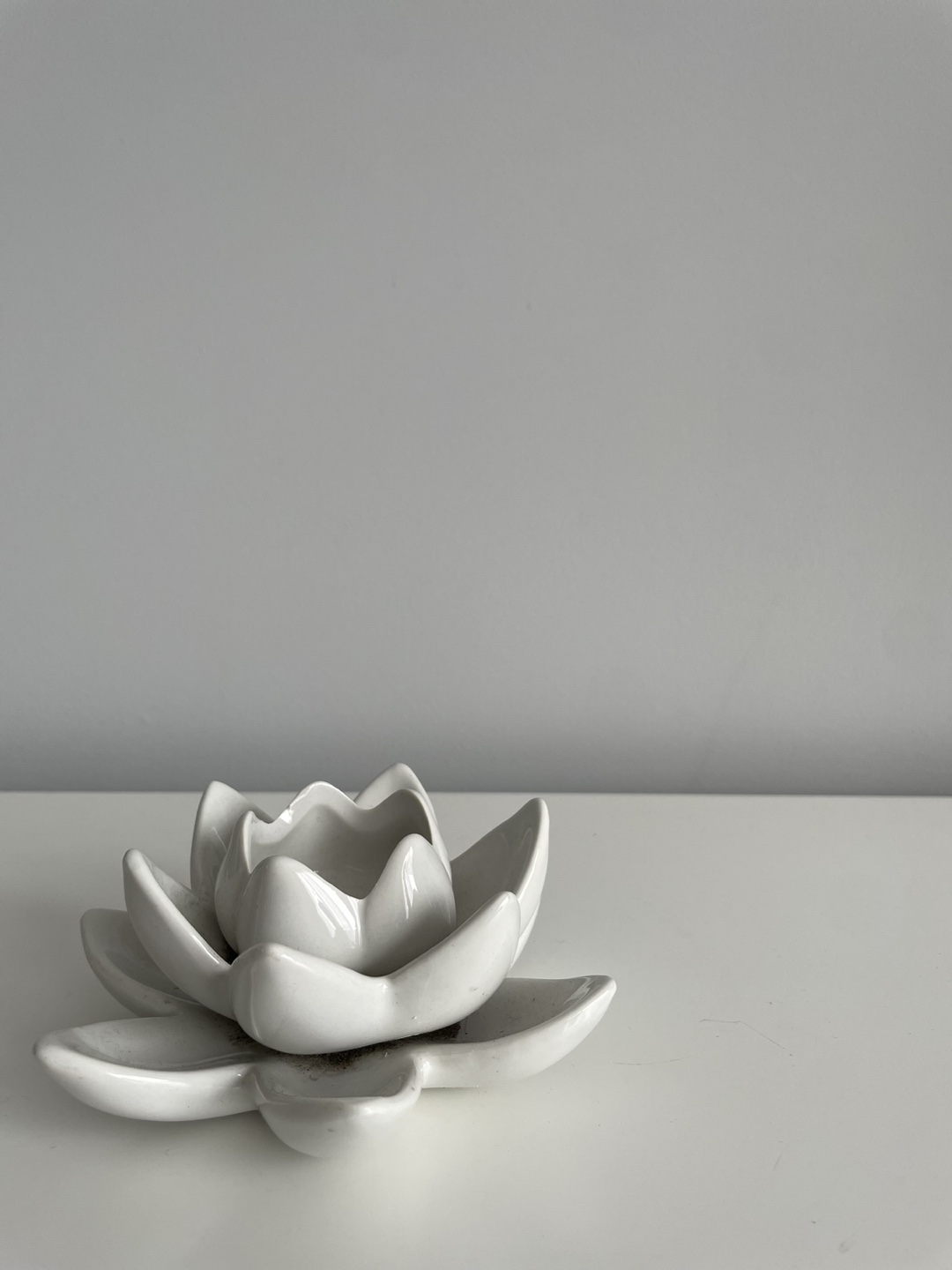 White Ceramic Lotus decor