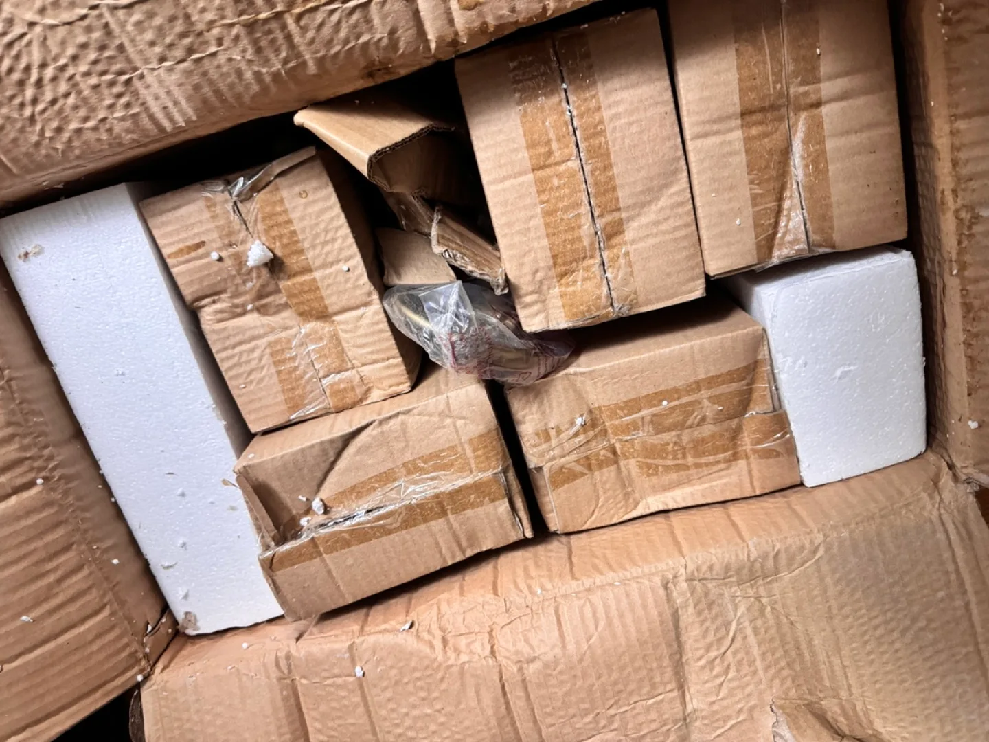 Paulo Collection 5-Light Chandelier - Model 104240 image indicator(6)