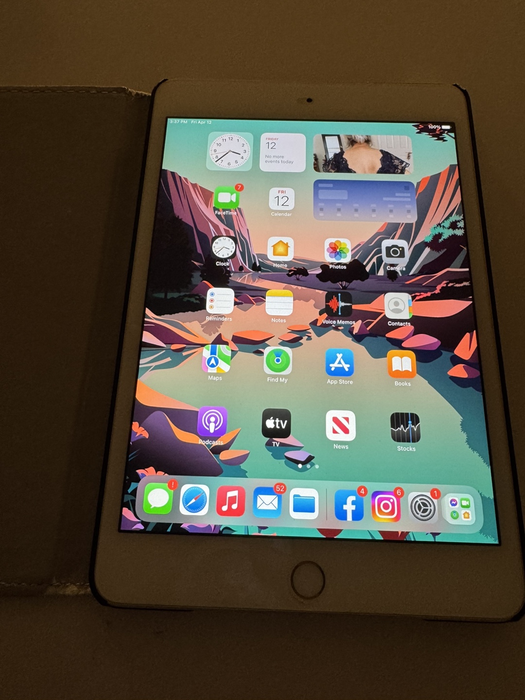 iPad Mini Gold with Floral Case