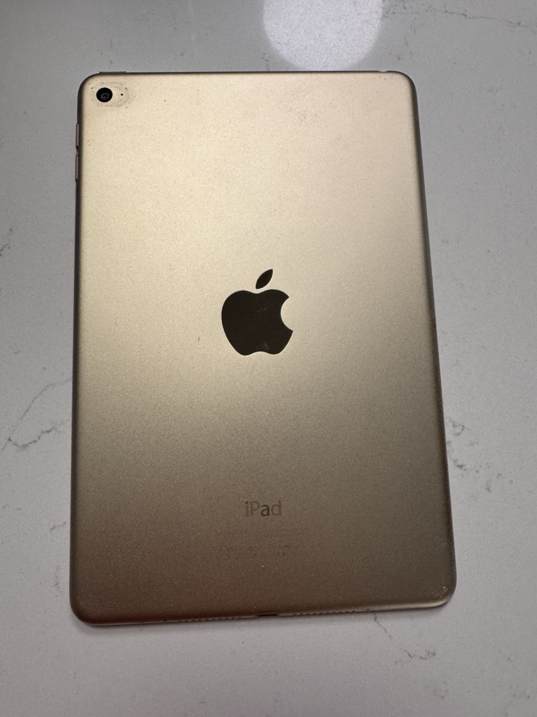iPad Mini Gold with Floral Case - photo 2