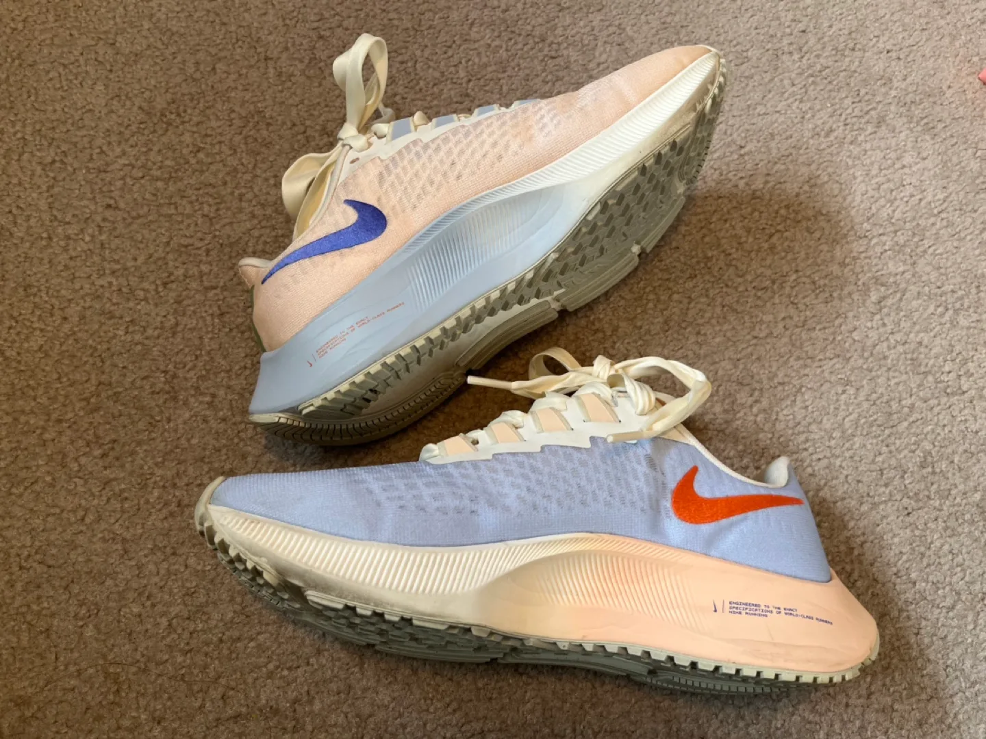 Nike Air Zoom Pegasus 37 Size 7US image indicator(4)