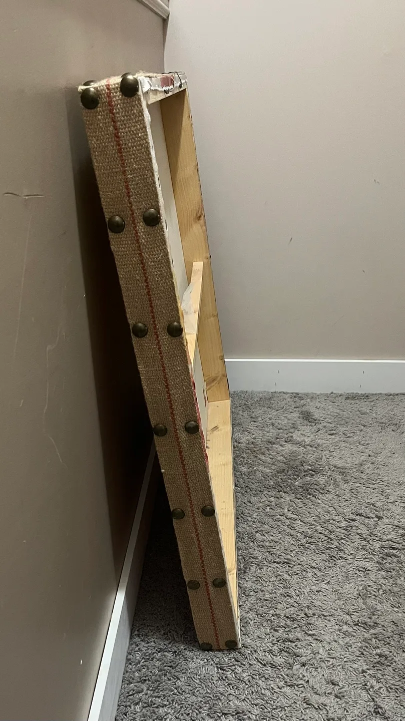 Homesense Poppy Canvas Wall Art image indicator(4)