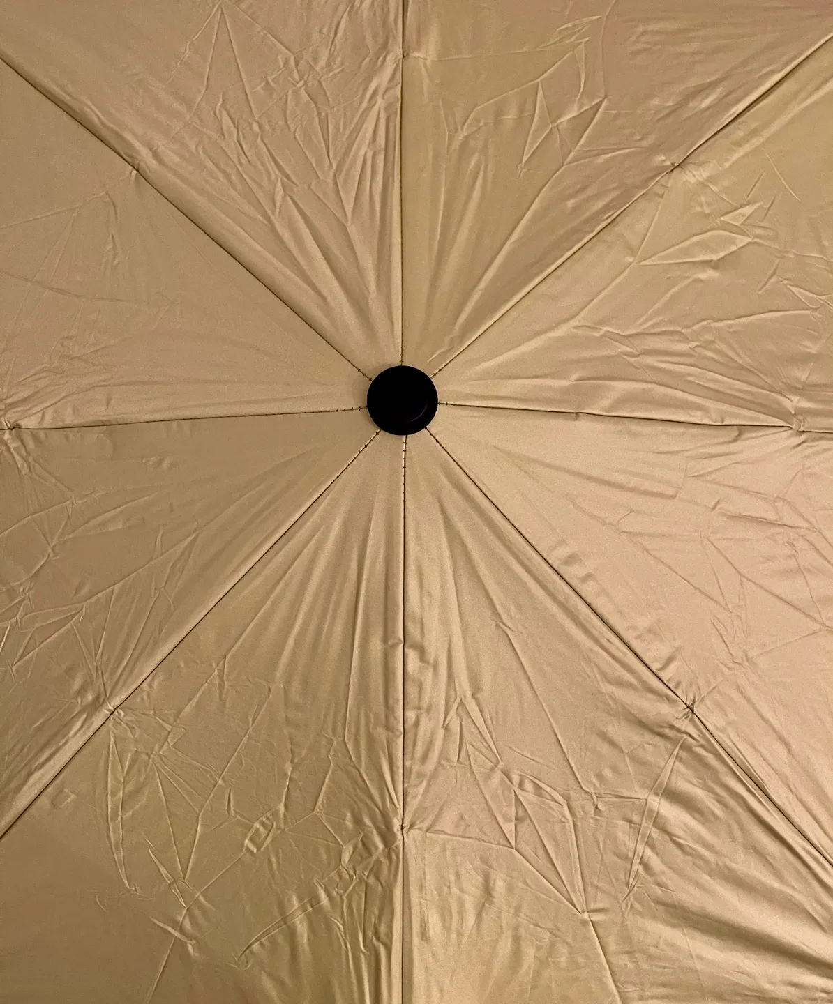 Kitty Umbrella image indicator(6)