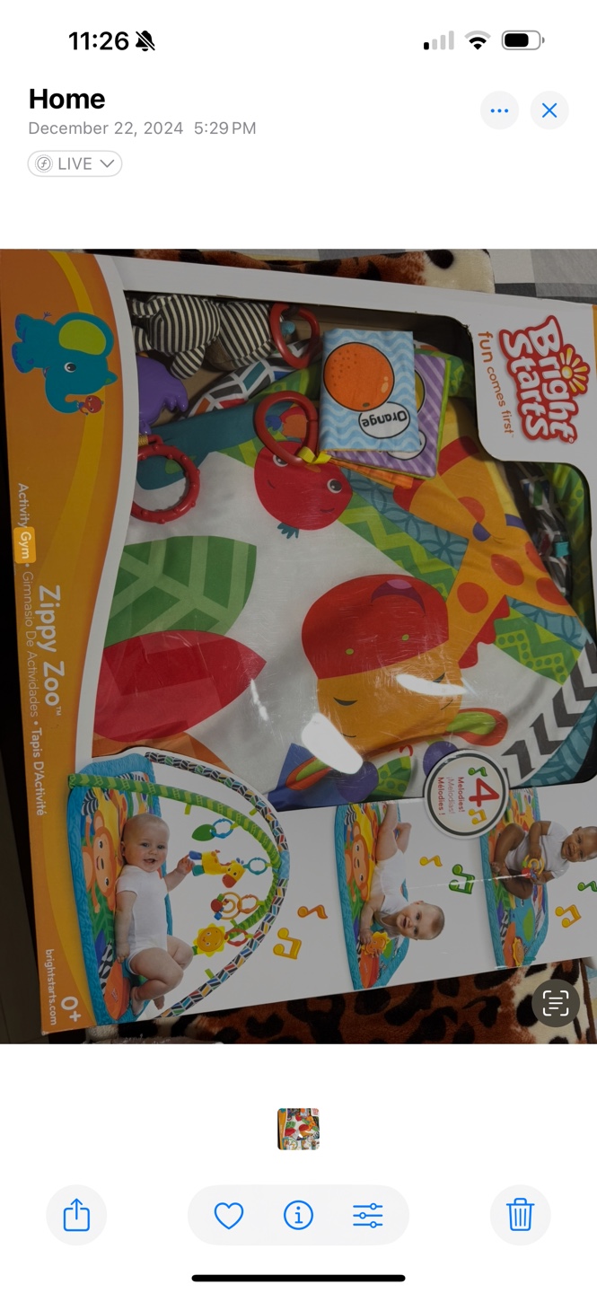 Bright Starts Zippy Zoo Activity Gym Playmat