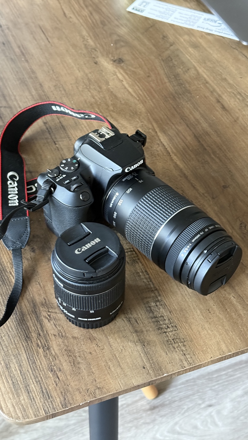 EOS Rebel SL3 Camera with Two Lenses