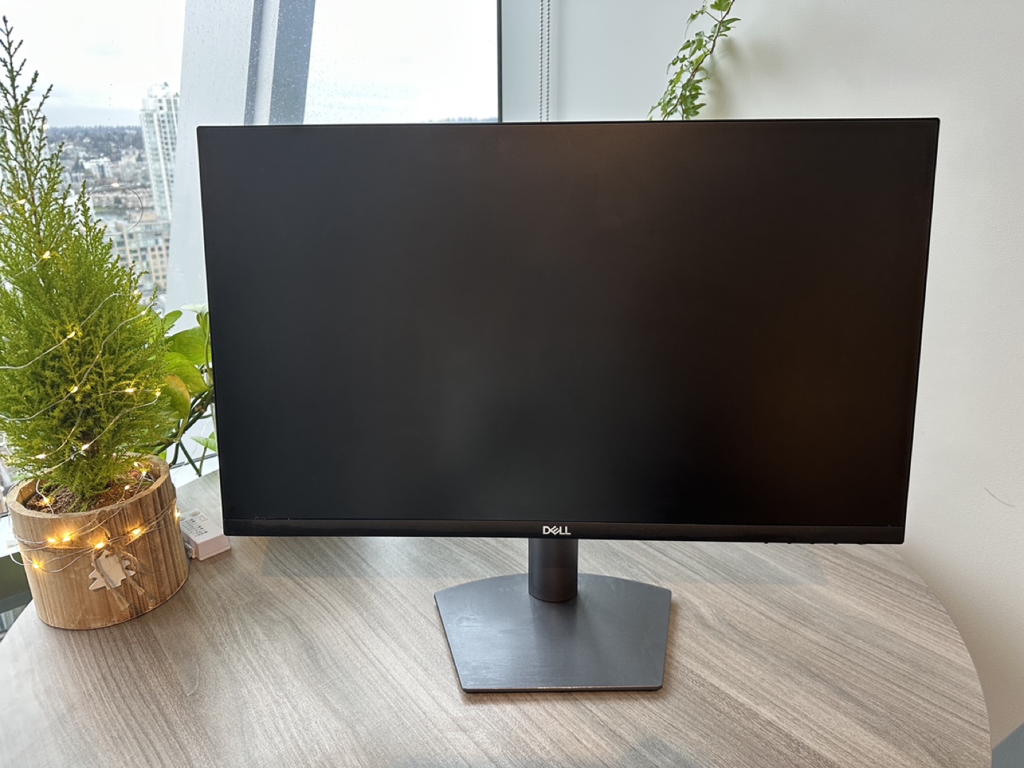 Dell 24 Monitor - photo 2