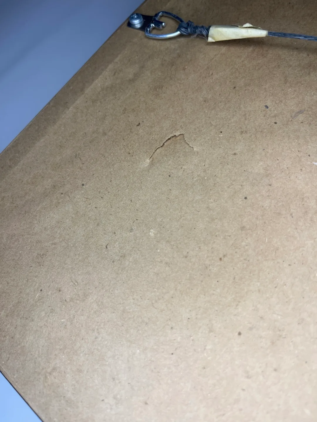 Framed Tropical Dolphin Painting image indicator(4)