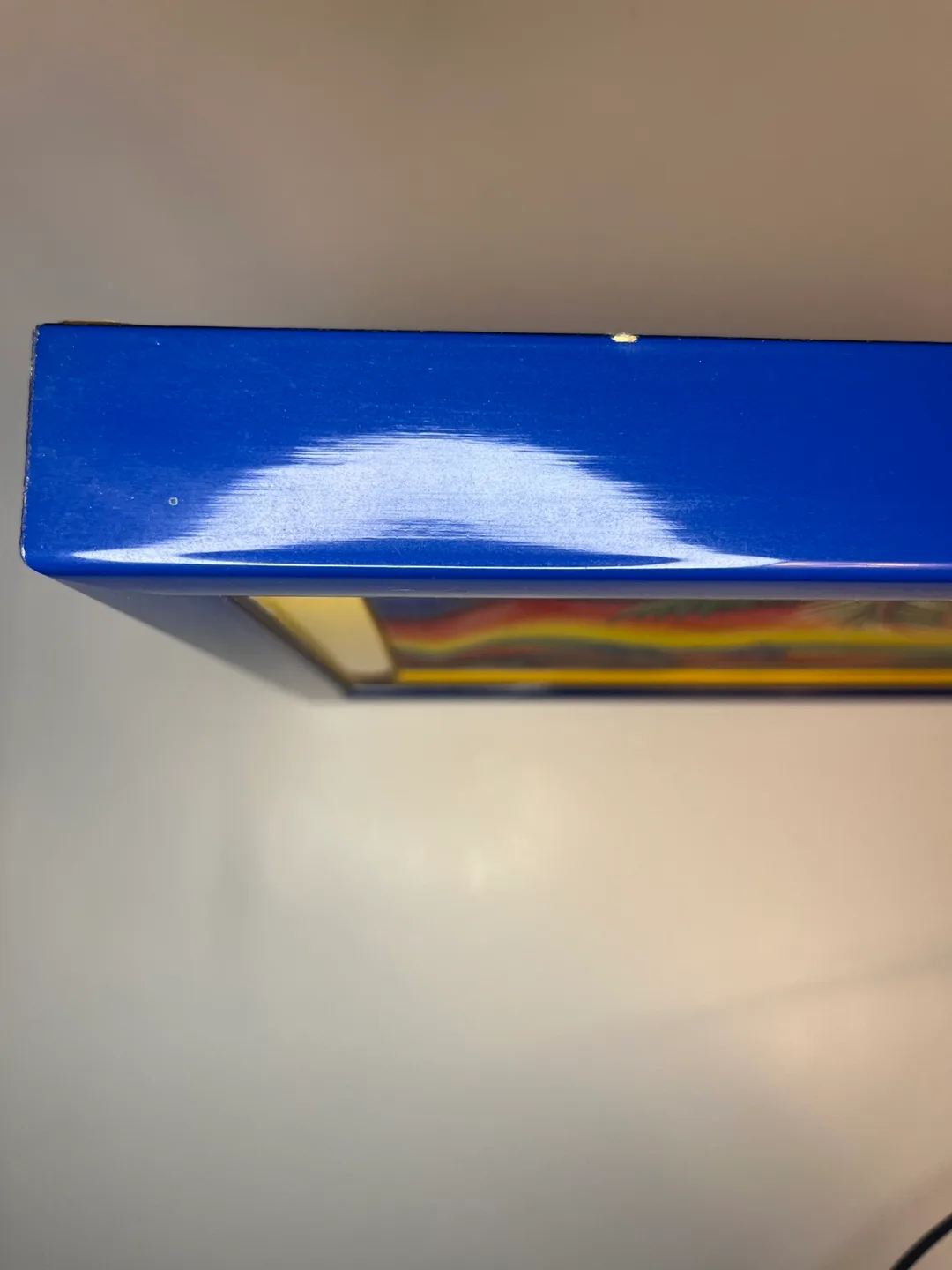 Framed Tropical Dolphin Painting image indicator(3)