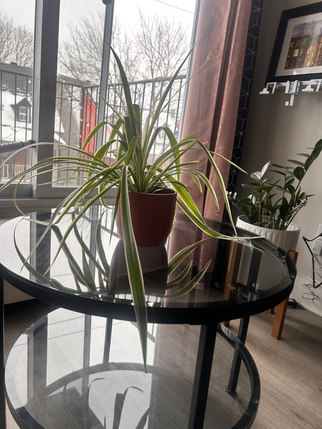 Round Glass Coffee Table with Black Metal Frame