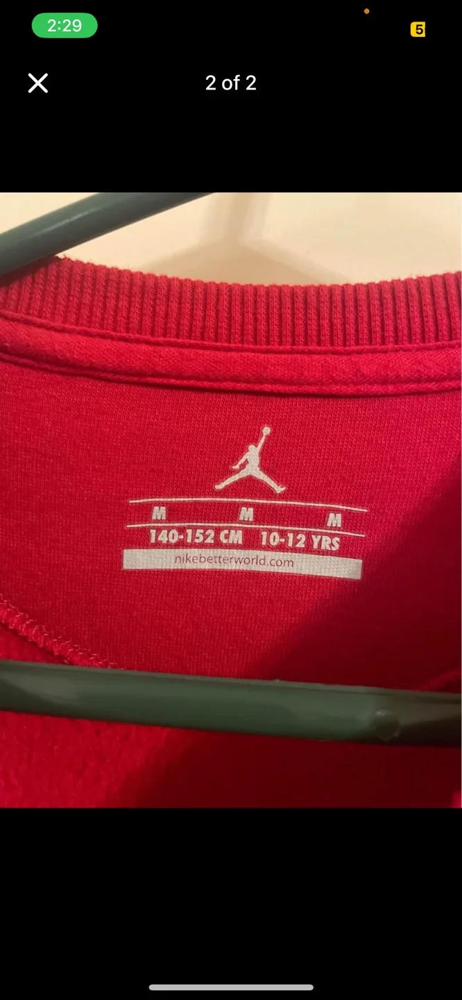 Nike Air Jordan Red Crewneck Sweatshirt kids image indicator(2)