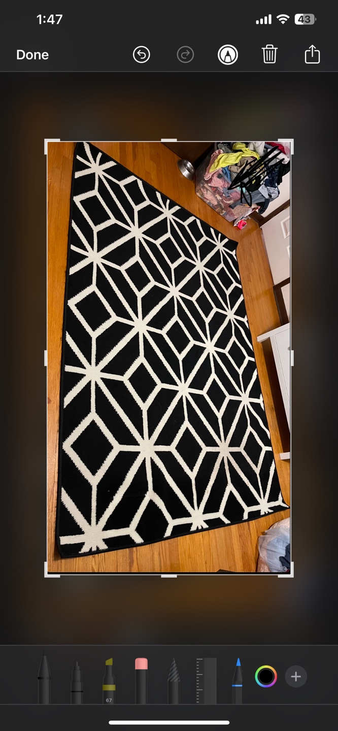 Black and White Geometric Area Rug check more pictures