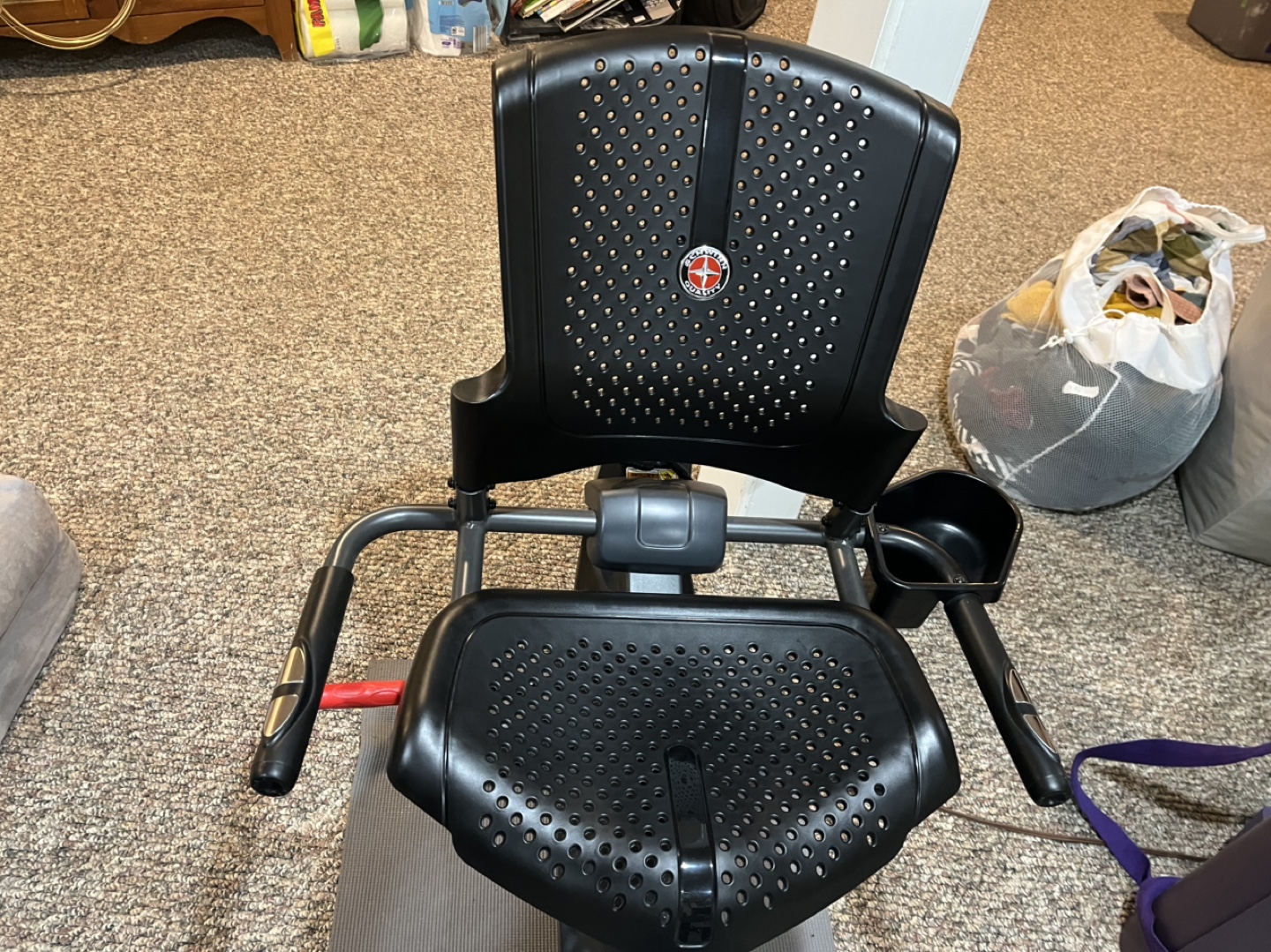 Schwinn Recumbent Exercise Bike