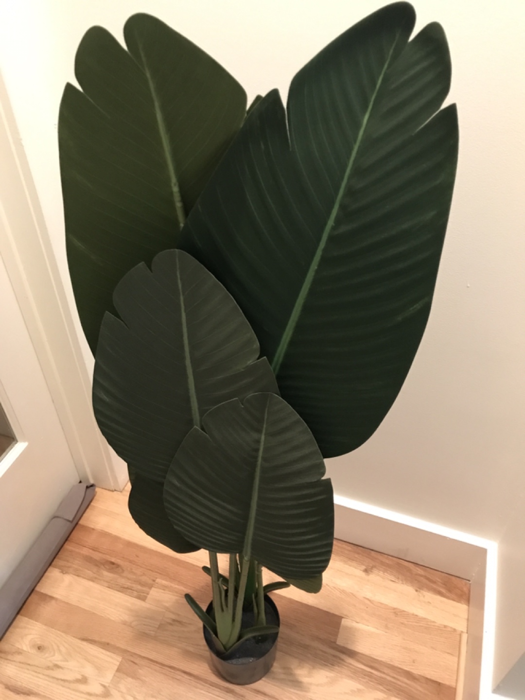Artificial Plant for decoration