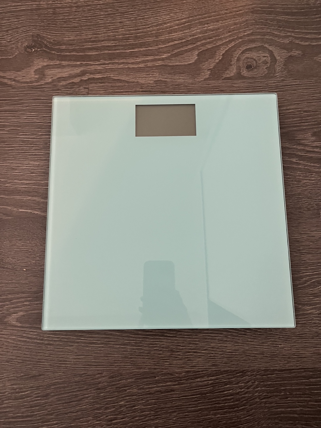 Scale
