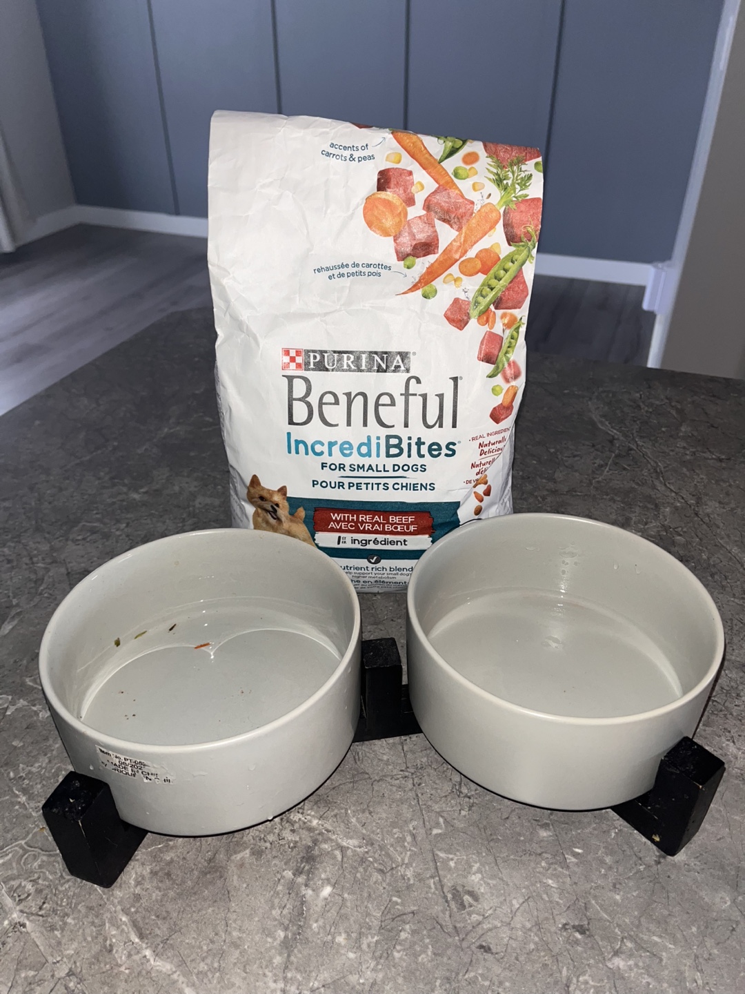 Elevated Dog Bowls - Ceramic Pet Feeder