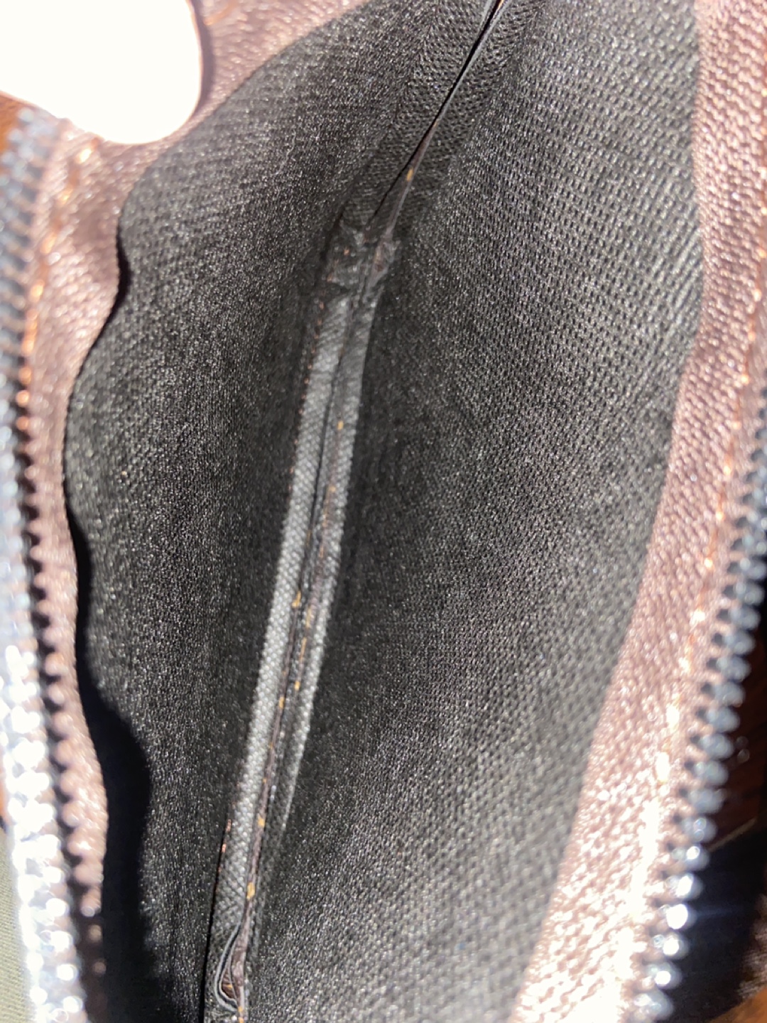 Brown Louis Vuitton Inspired Crossbody Bag - photo 5