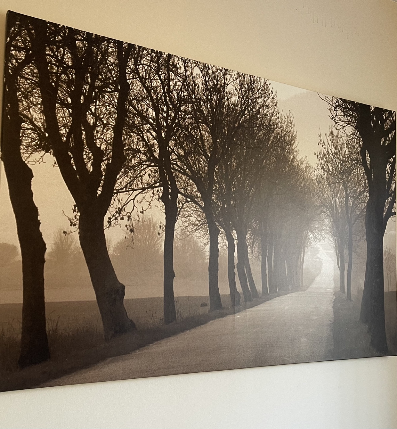 Sepia-toned Canvas Wall Art - Tree-lined Road
