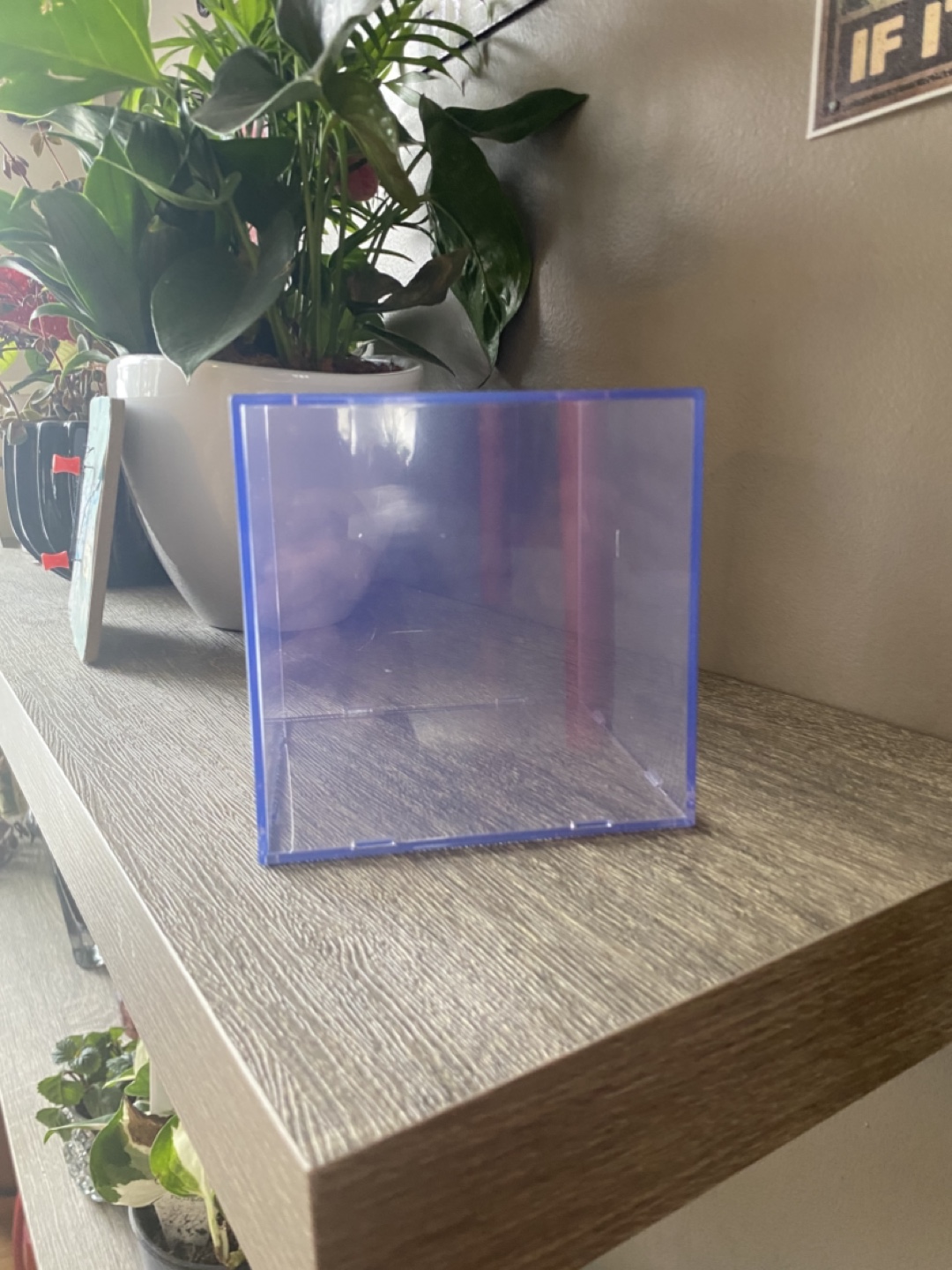 Clear Cube ‘Piggy Bank’ Money Saver - photo 3