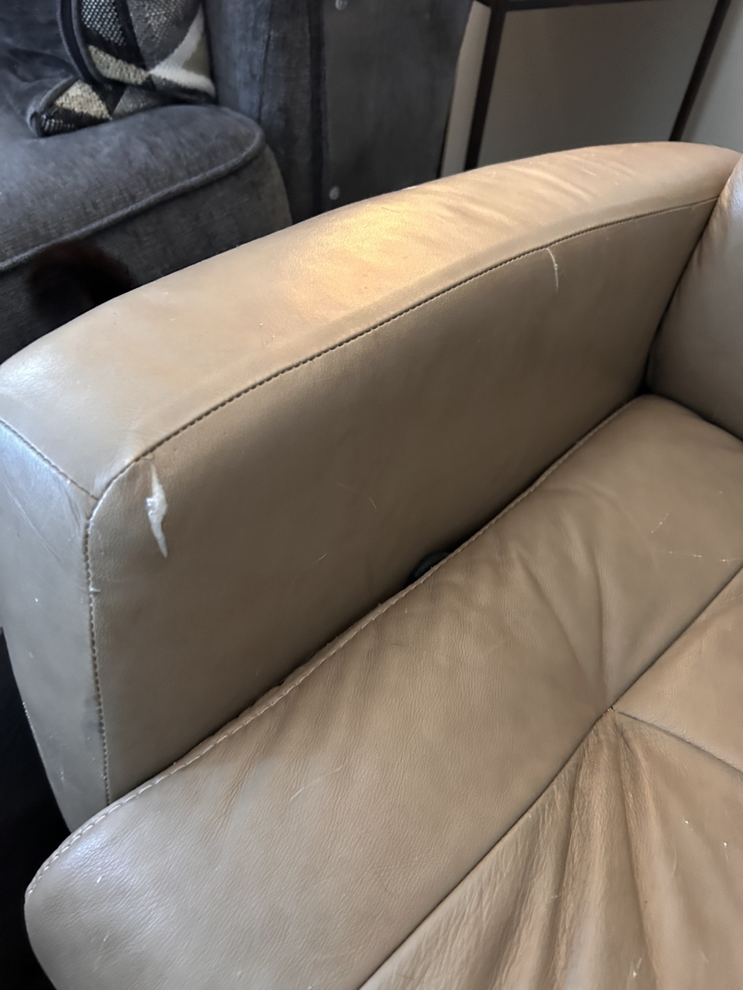 Reclining Leather Chair - photo 3