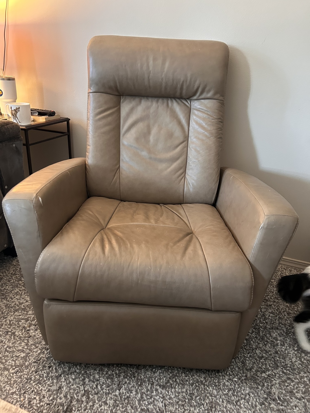 Reclining Leather Chair - photo 4