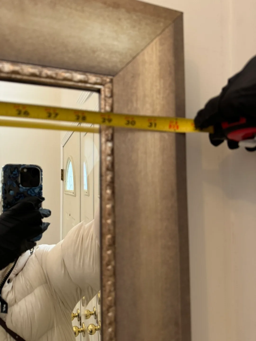 Full-Length Ornate Mirror image indicator(2)