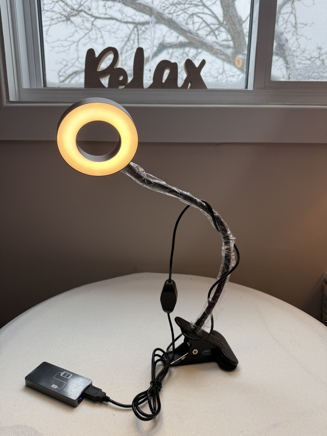 Clip-on LED Desk Lamp