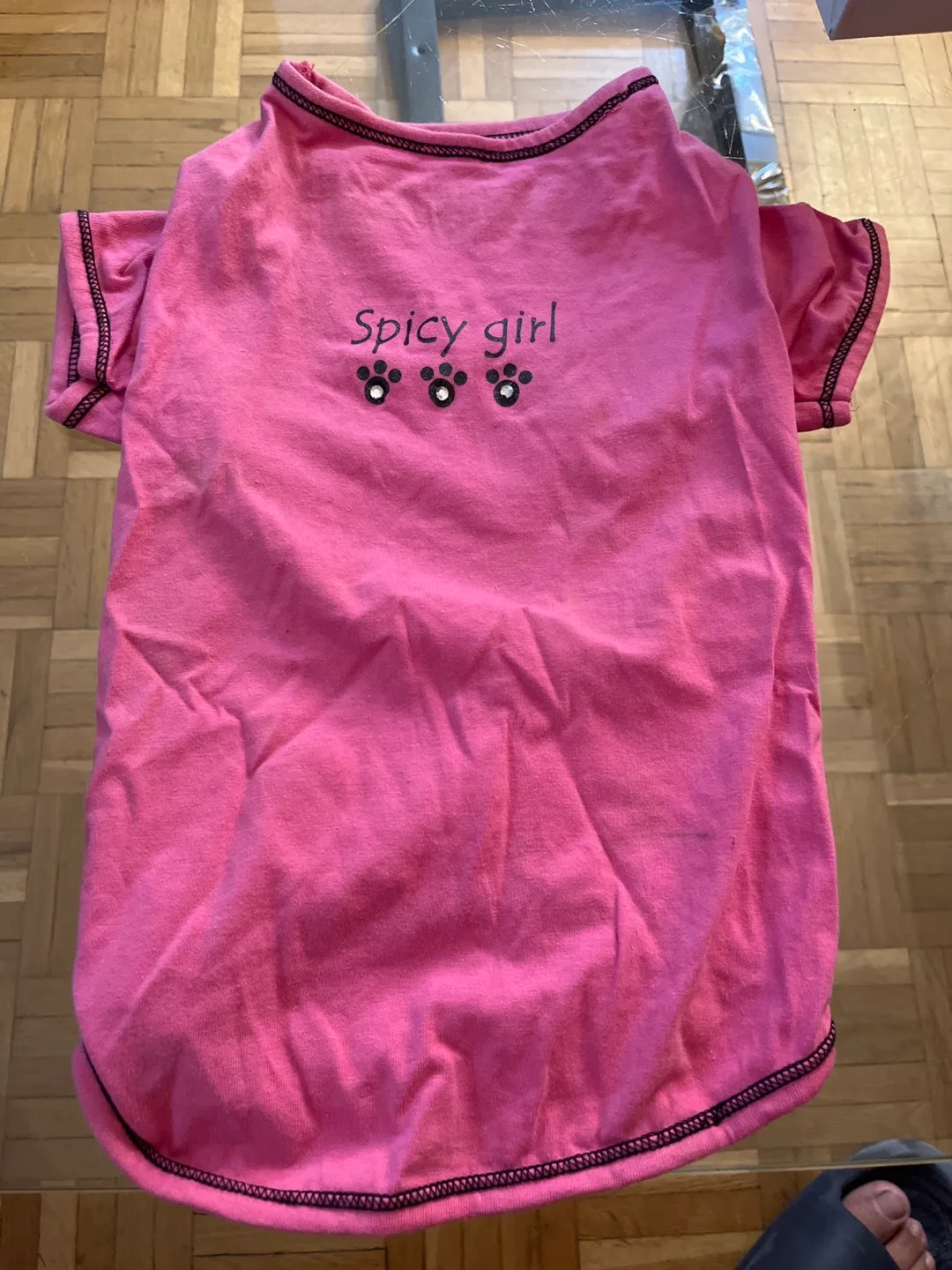 Size M Casual Canine Spicy Girl Dog T-Shirt Spicy Girl image indicator(2)