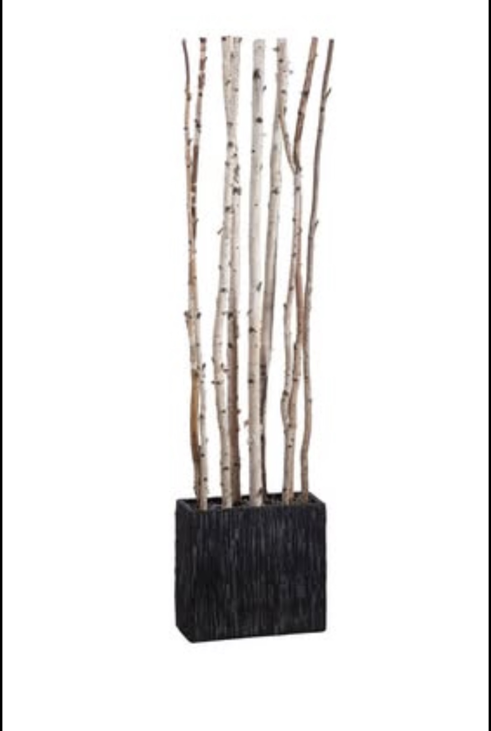 Birch Branch Room Divider (two) - photo 3