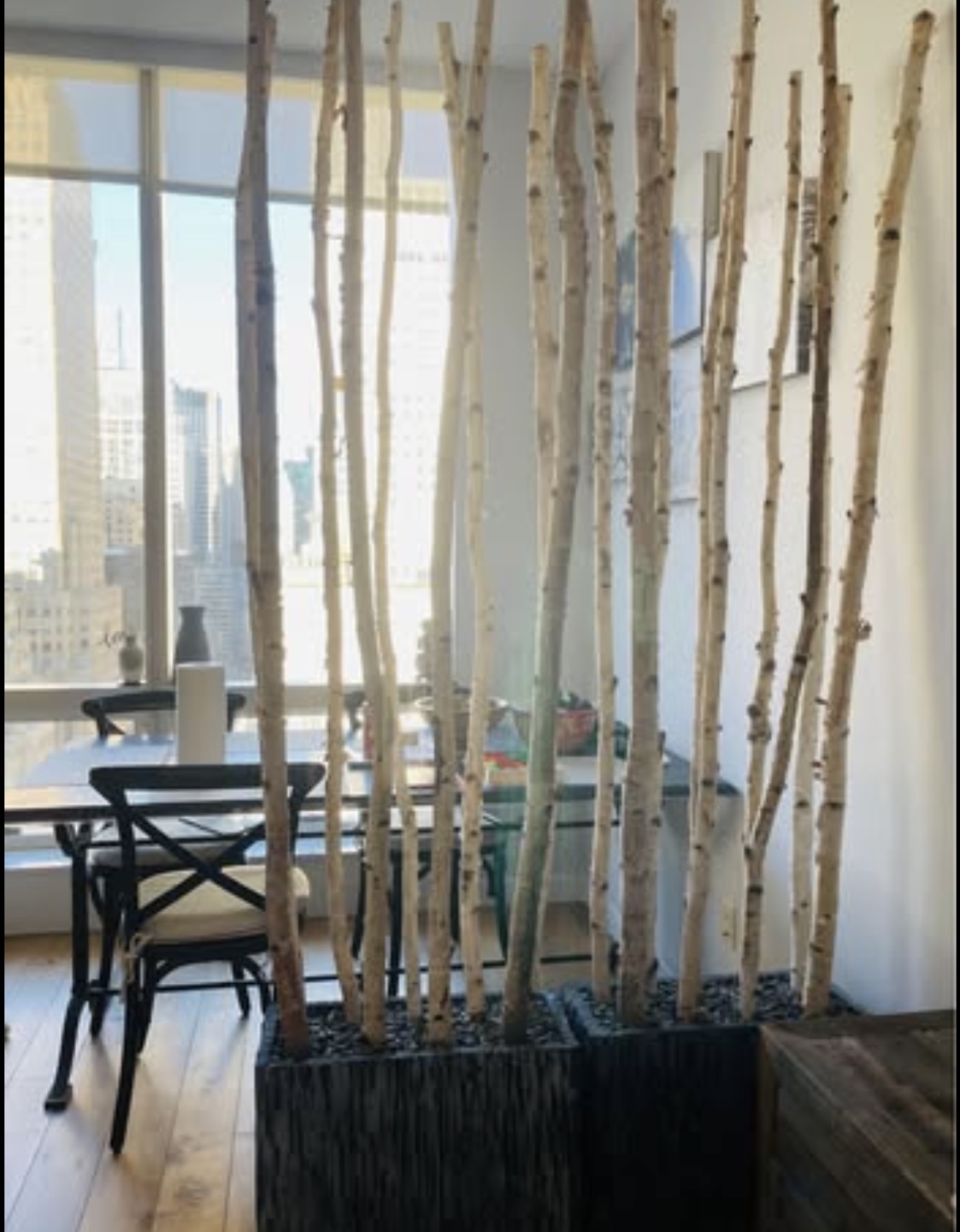 Birch Branch Room Divider (two)