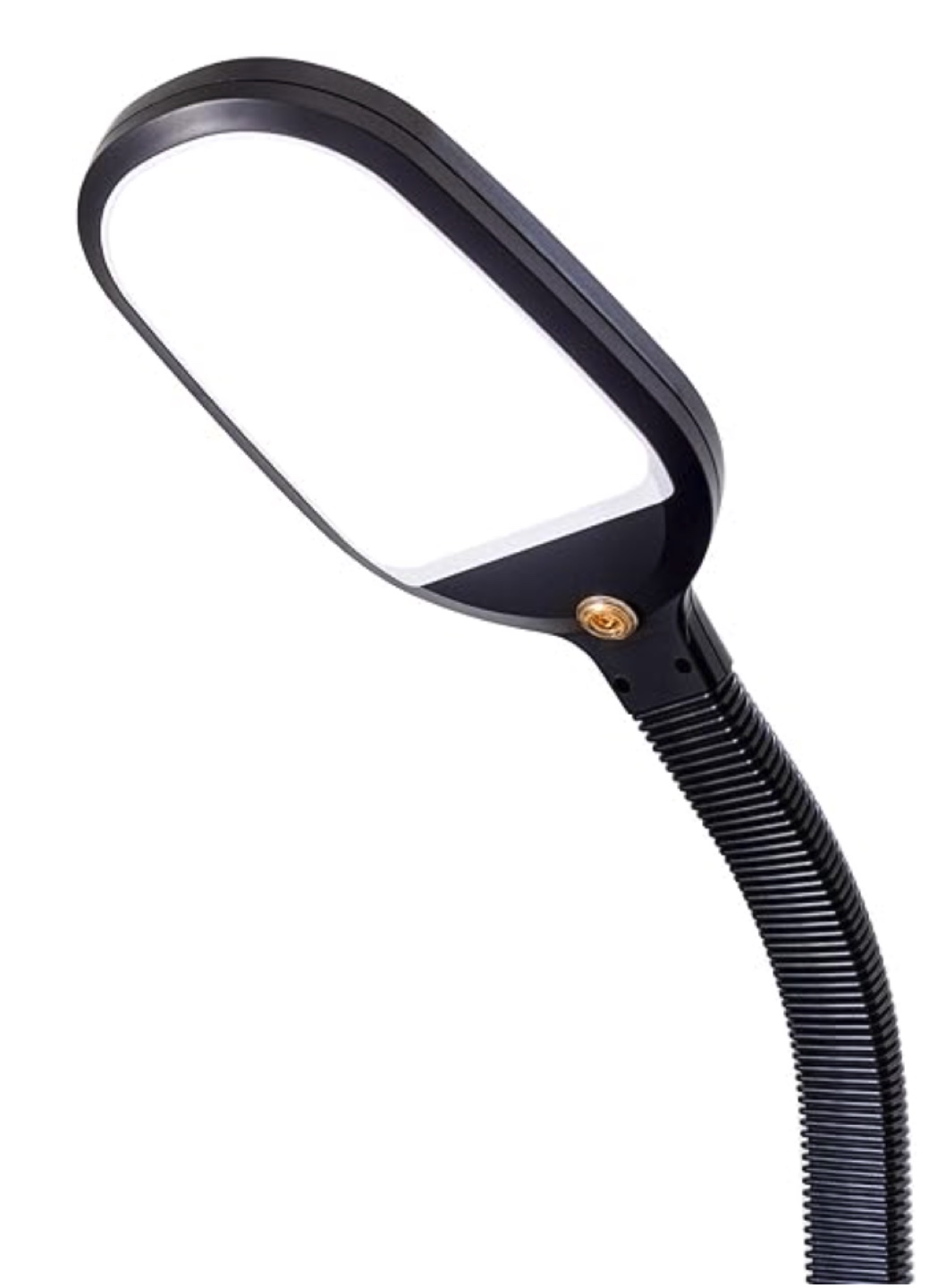 Floor Lamp with Flexible Neck and LED Light