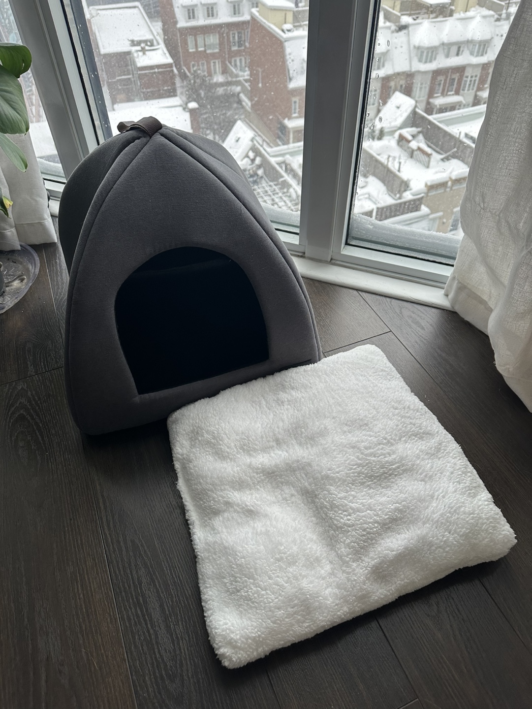 Unused Collapsible Grey Cat / Dog Bed - photo 3