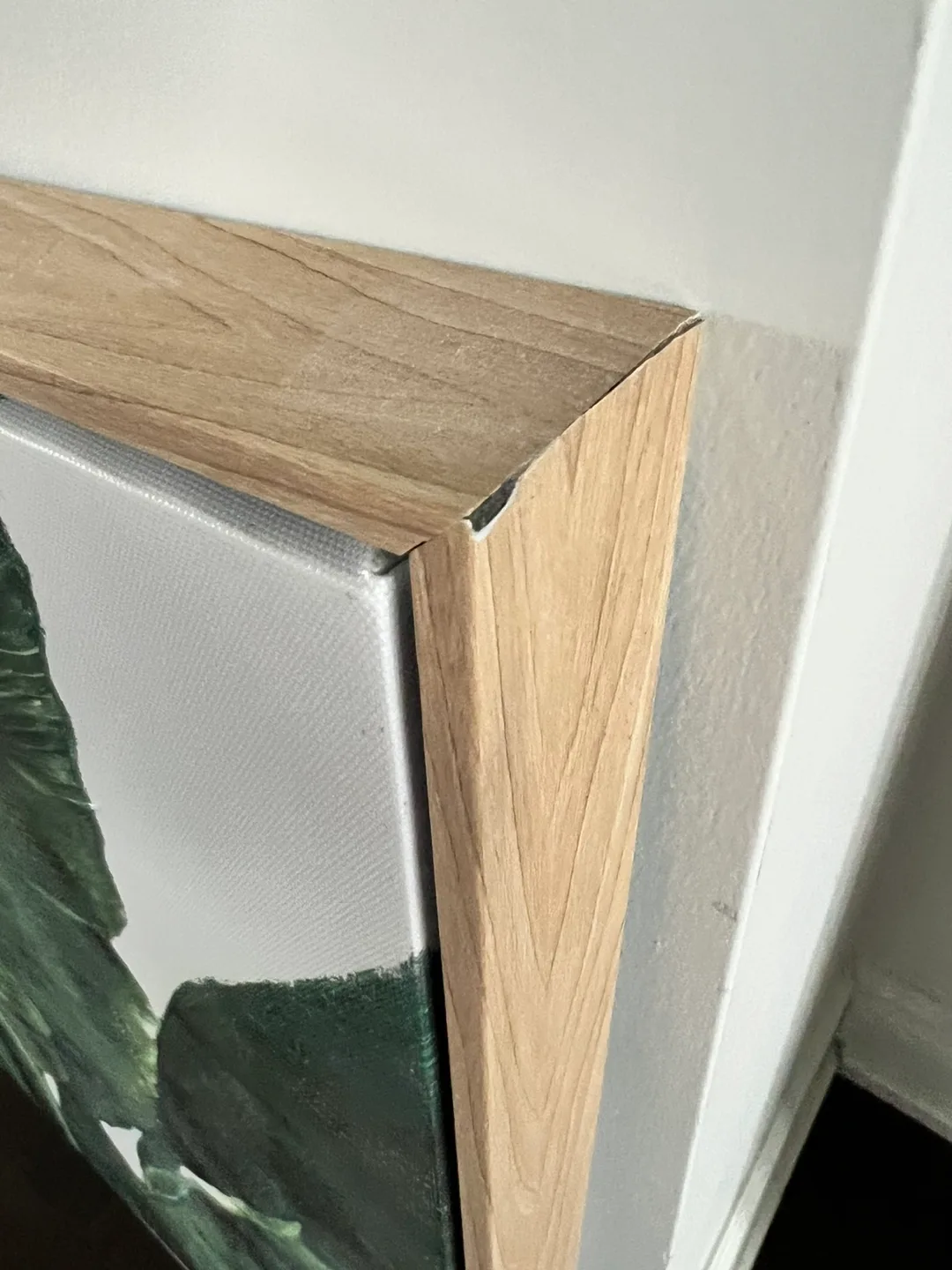 Large Framed Tropical Leaf Canvas Wall Art image indicator(5)