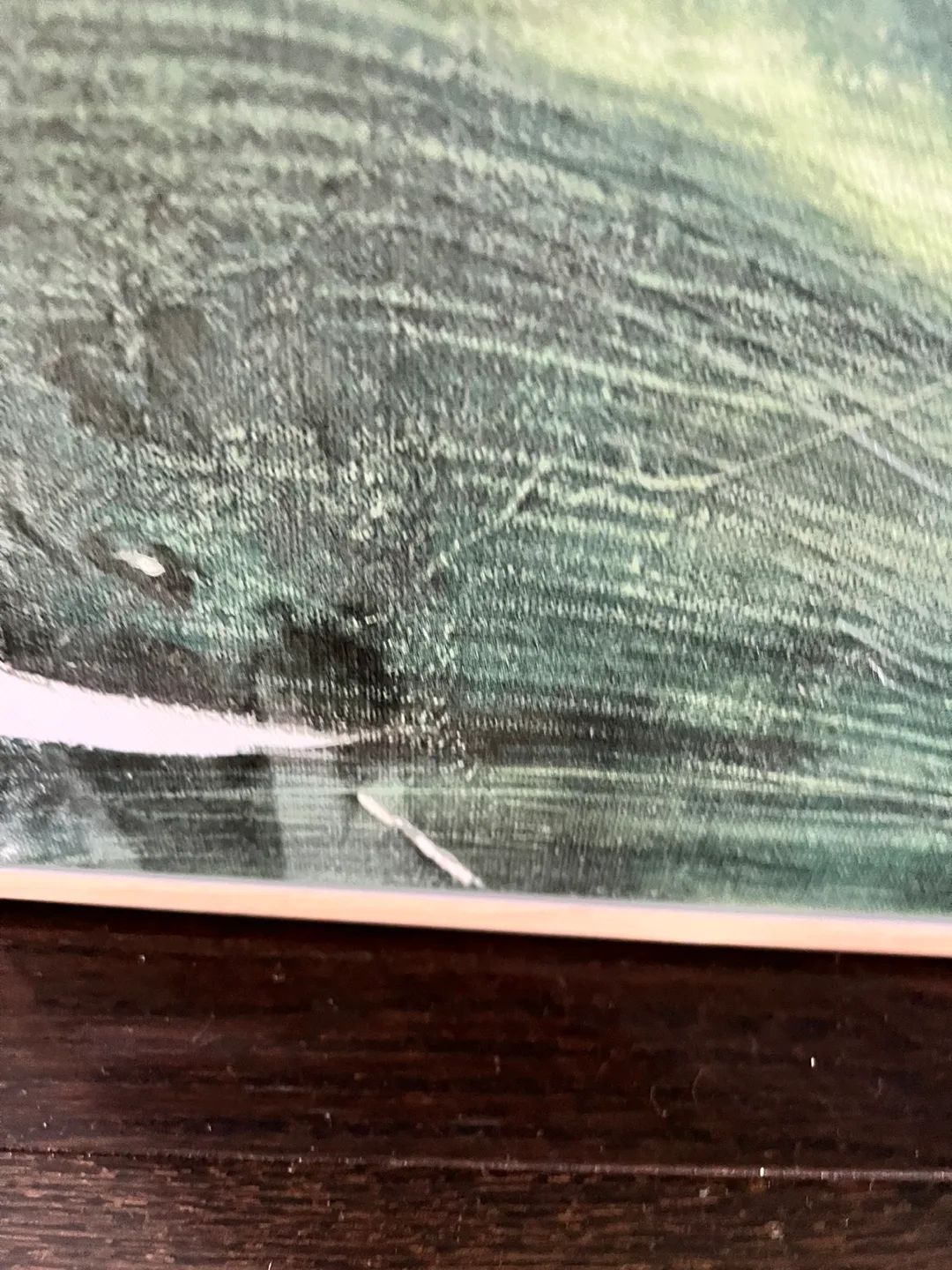 Large Framed Tropical Leaf Canvas Wall Art image indicator(3)