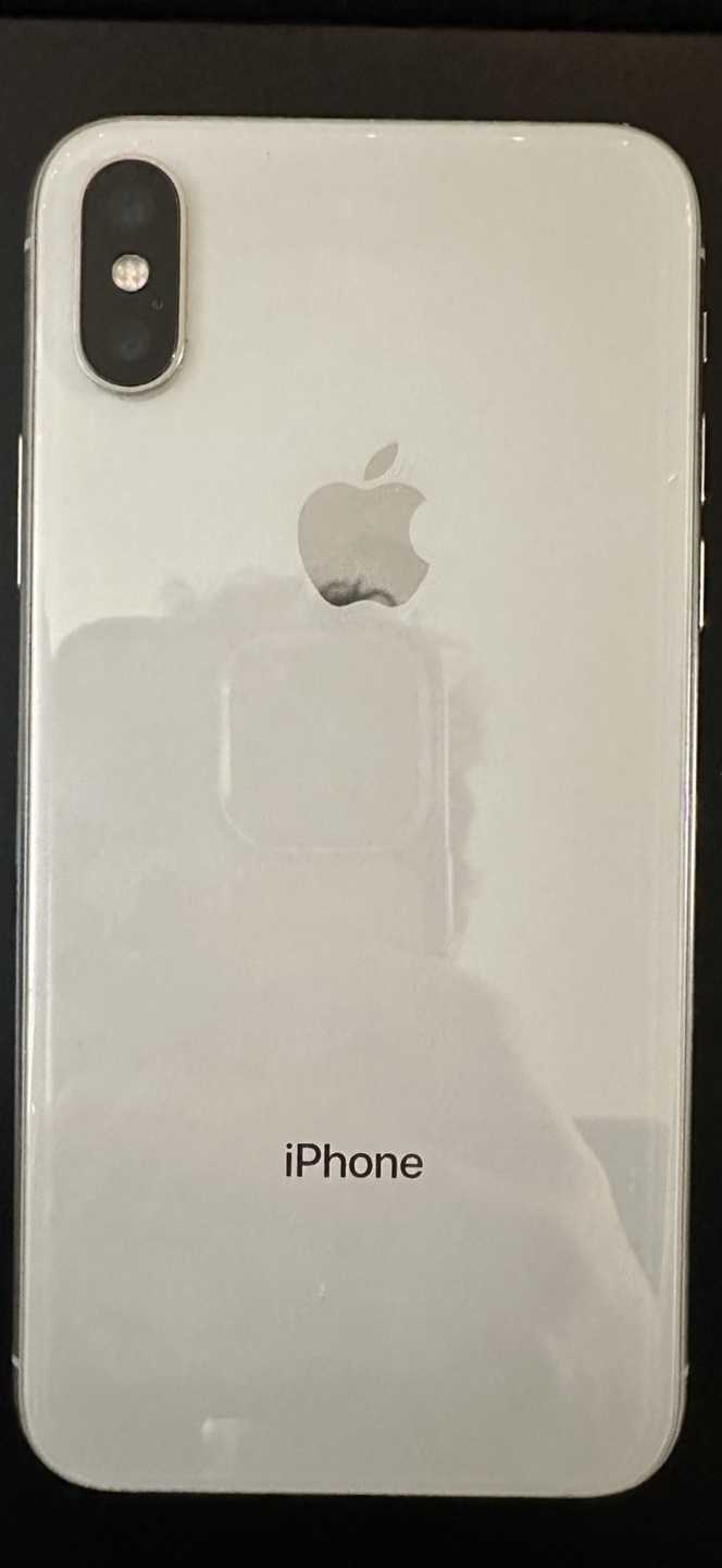 iPhone X