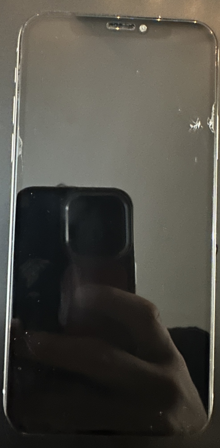 iPhone X - photo 5